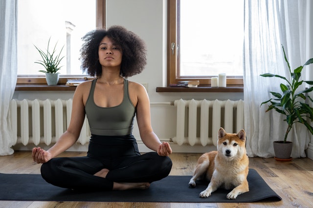 Woman doing yoga by a dog